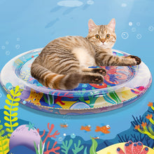 Load image into Gallery viewer, Pet Water Sensory Mat