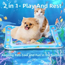 Load image into Gallery viewer, Pet Water Sensory Mat