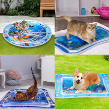 Load image into Gallery viewer, Pet Water Sensory Mat