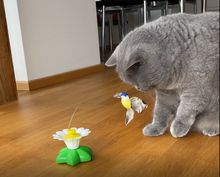 Load image into Gallery viewer, Interactive Bird Toy For Cats