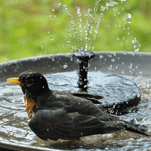 Load image into Gallery viewer, Solar Powered Water Fountain