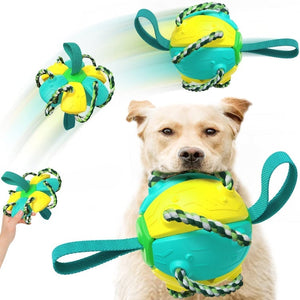 Bite-proof dog toy frisbee football