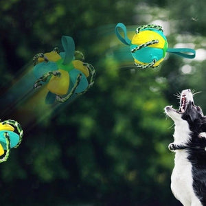 Bite-proof dog toy frisbee football