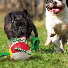 Load image into Gallery viewer, Bite-proof dog toy frisbee football