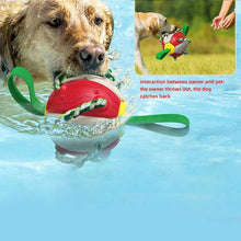 Load image into Gallery viewer, Bite-proof dog toy frisbee football