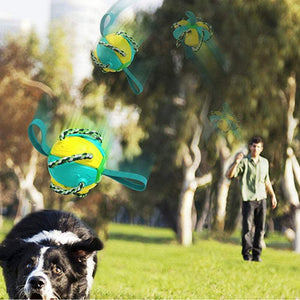 Bite-proof dog toy frisbee football
