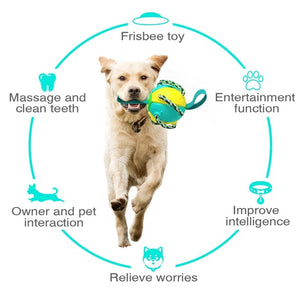 Bite-proof dog toy frisbee football