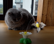 Load image into Gallery viewer, Interactive Bird Toy For Cats