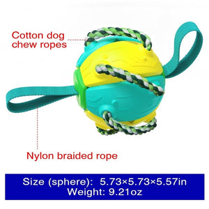Bite-proof dog toy frisbee football